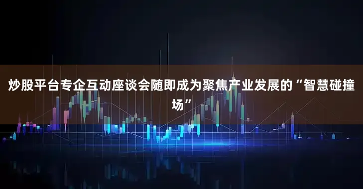 炒股平台专企互动座谈会随即成为聚焦产业发展的“智慧碰撞场”