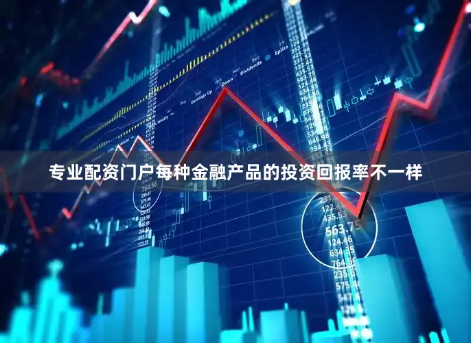 专业配资门户每种金融产品的投资回报率不一样