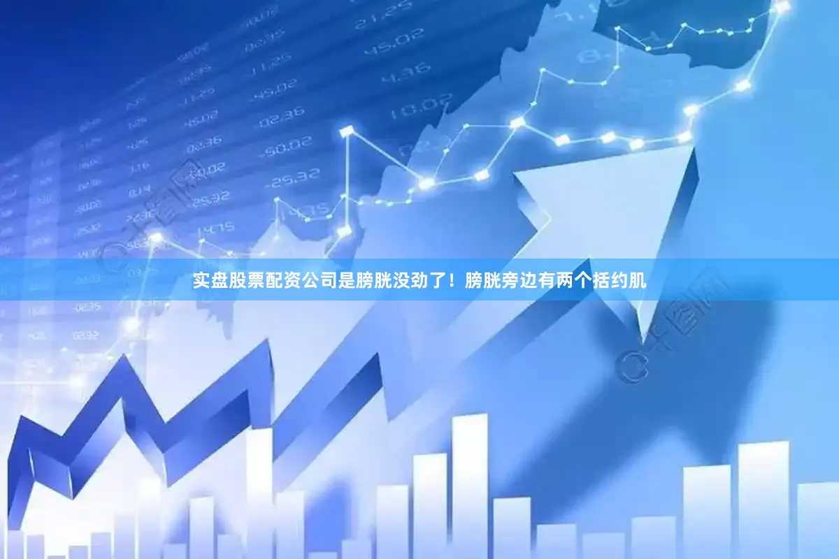 实盘股票配资公司是膀胱没劲了！膀胱旁边有两个括约肌