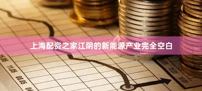 上海配资之家江阴的新能源产业完全空白