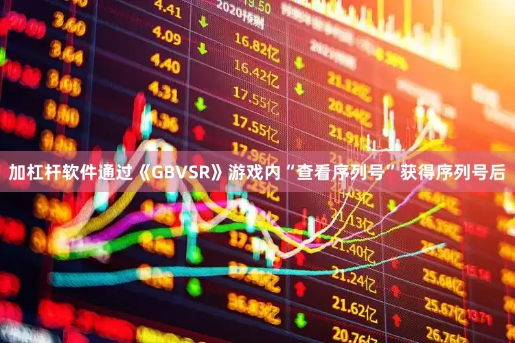 加杠杆软件通过《GBVSR》游戏内“查看序列号”获得序列号后