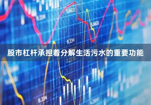 股市杠杆承担着分解生活污水的重要功能
