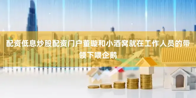 配资低息炒股配资门户董璇和小酒窝就在工作人员的带领下喂企鹅