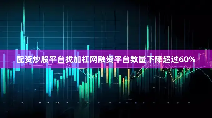 配资炒股平台找加杠网融资平台数量下降超过60%